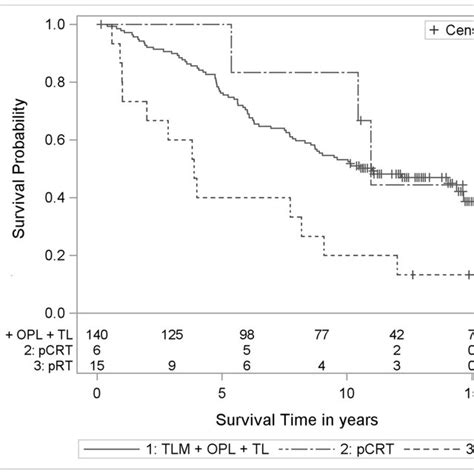 Kaplan Meier Curves With Numbers At Risk Of T2 Laryngeal Cancer