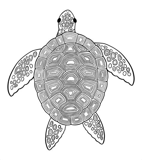 Coloriage De Tortue De Mer Animal Sous Marin Ornemental Illustration