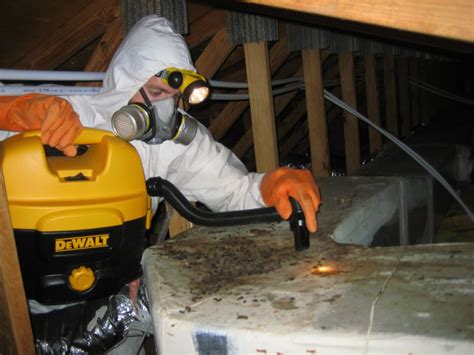 Best pest helps families and businesses in somerville and beyond control many common household pests. Kent Pest Control Pros | Pest Control Service In Kent WA