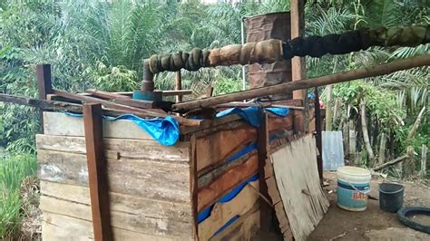 Minyak serai wangi dari spesies cymbopogon tidak sama dengan minyak lemon serupa lainnya dari corymbia citriodora dan pelargonium citrosum. Penyulingan Serai wangi tradisional ala poniran lubis reok ...