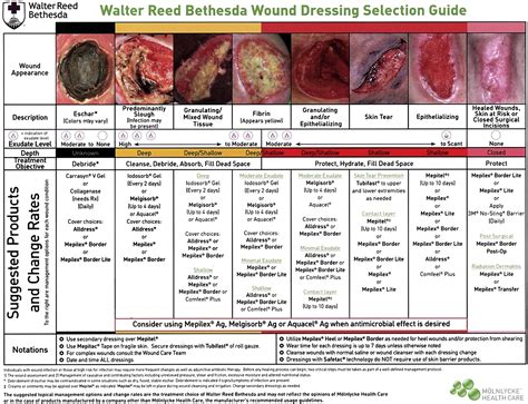 Wound Management And Nutrition For Optimal Wound Healing Atlas Of The