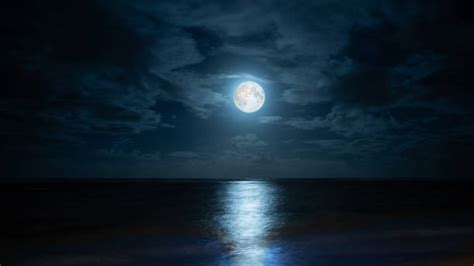 Full Moon Stock Photos Pictures And Royalty Free Images Istock