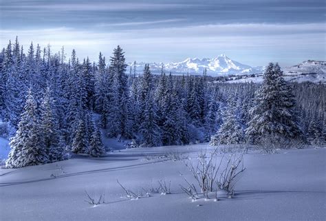 Alaskan Winter Landscape Photograph By Michele Cornelius Pixels