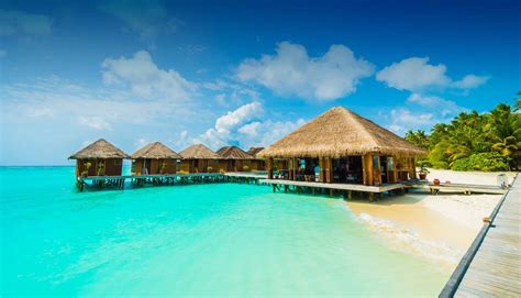4.6 out of 5 stars. 150+ Packages | جزر المالديف,جزر المالديف آسيا | Honeymoon ...
