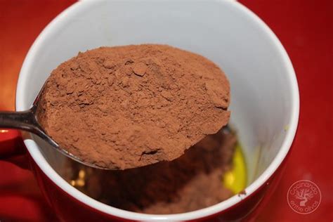 C Mo Hacer Un Bizcocho De Chocolate A La Taza En Microondas Receta