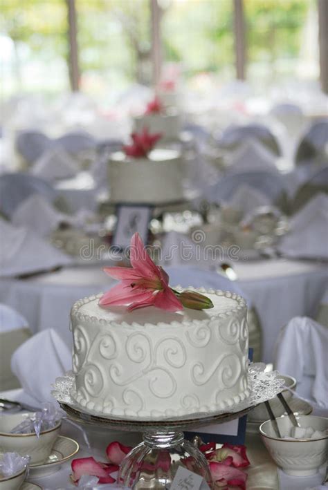 Small Wedding Cakes All In A Row Stock Photo Image Of