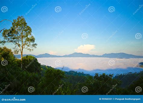 Morning Mist At Tropical Mountain Range Stock Image Image Of