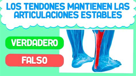 No estoy seguro de si eso es verdadero o falso.lucia says she has to stay home because she's sick. 60 PREGUNTAS de verdadero o falso (CULTURA GENERAL) Test ...