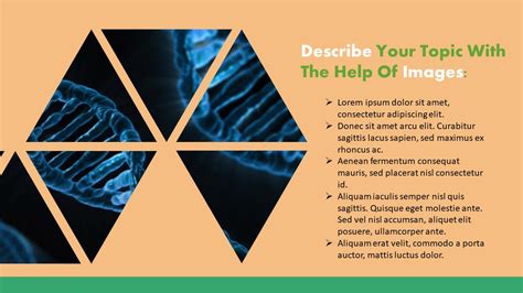 Free Animal Kingdom Powerpoint Template Myfreeslides