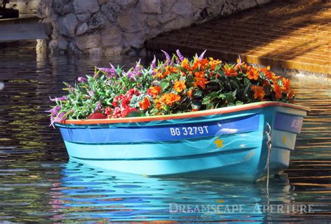 Nautical Boat Photography Flower Photography Flower Boat