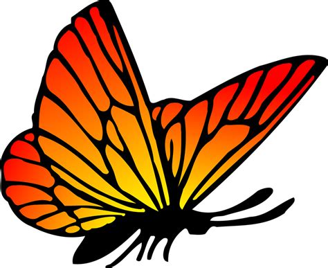 Kupu Kupu Png