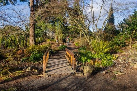 Evergreen Arboretum And Gardens Es A La Vez Un Lugar De Belleza Y
