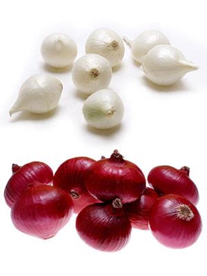 Growing egyptian onions produce a smaller bulb similar to its relative, the pearl onions. Our Products - Magic Valley Growers