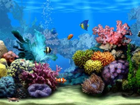 Free Download Marine Life 3d Screensaver Is Also Compatible With