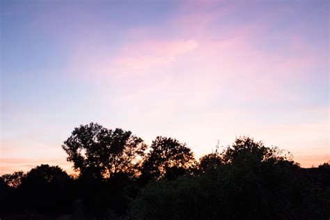 無料画像 木 自然 地平線 雲 空 日の出 日没 フィールド 太陽光 朝 丘 夜明け 夕暮れ イブニング 残光