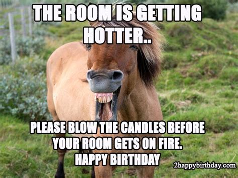 Happy Birthday Horse Meme And Funny Songs 2happybirthday