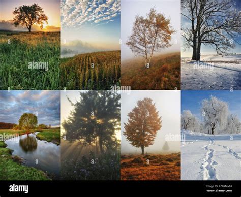 Four Seasons Collage Spring Summer Autumn Winter Stock Photo Alamy