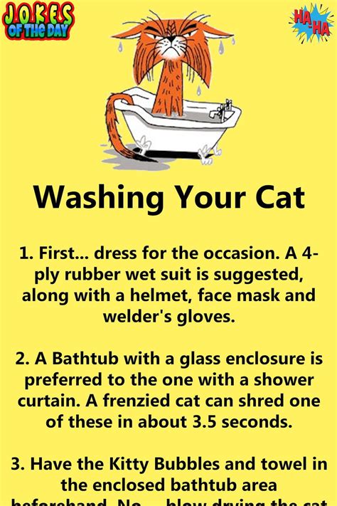 And for making the moment some funny clean jokes can put a good effort in it. Humor: How To Wash A Cat in 2020 | Clean funny jokes ...