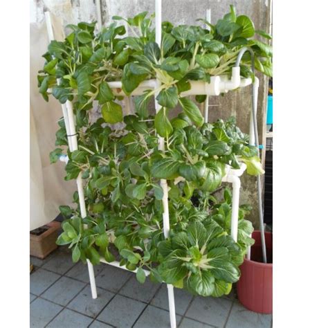 I was 14 when this was taken and the proud new owner of a stainless steel rod. Aeroponic Tower Garden Diy - Bios Pics