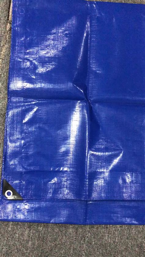 Blue Polyethylene Terephthalate Tarpoline Sheetquality Blue Pe