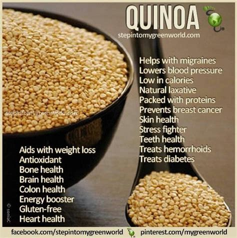 Quinoa Quinoa Health Benefits Nutrition Quinoa Benefits
