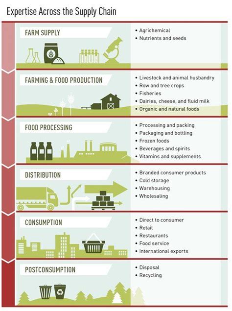 Supply Chain Infographic Supply Chain Grocery Supplies