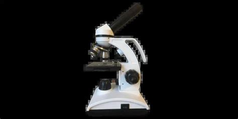 Monocular Compound Light Microscope Definition Shelly Lighting Gambaran