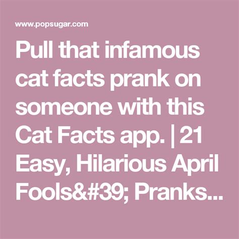 21 Easy Hilarious April Fools Pranks Cat Facts Prank Cat Facts