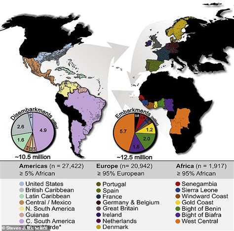 Dna Study Reveals How The Slave Trades Dark History Of Rape Disease