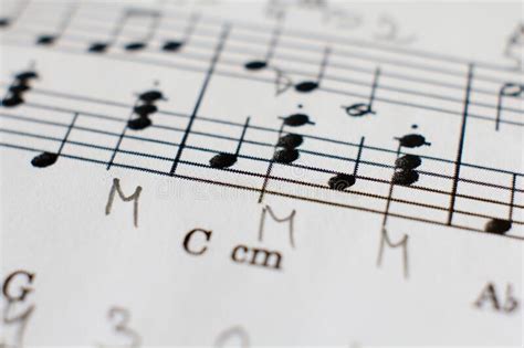 Notes On Sheet Music Stock Photo Image Of Learning 244992798