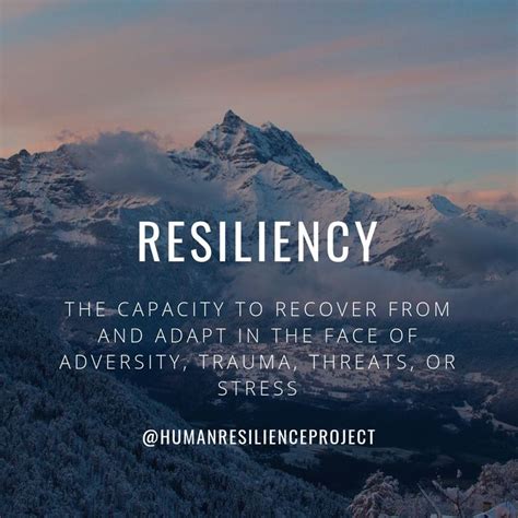 Everyone has the ability to increase resilience to stress. Resiliency defined | Resilience, Adversity, Infographic