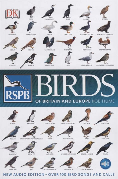 Rspb Birds Of Britain And Europe Rob Hume Browsers Bookshop Porthmadog