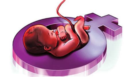 Sex Ratio At Birth Dips In 17 Out Of 21 States Reports Niti Aayog