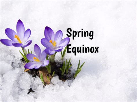 The spring equinox 2021 is on saturday, march 20, 2021 (in 6 days). Spring Equinox (Vernal Equinox) in 2020/2021 - When, Where ...