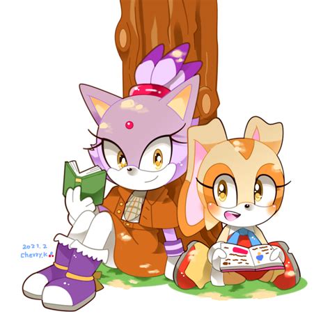 Kusunoki Cherry Blaze The Cat Cream The Rabbit Sonic Series