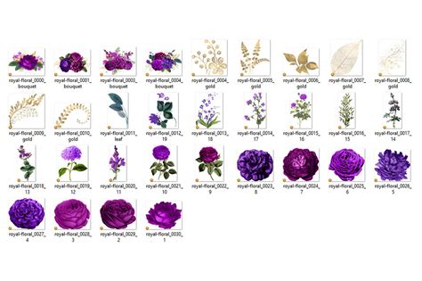 Royal Purple And Gold Floral Clipart By Digital Curio