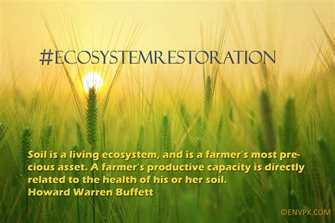 World Environment Day Ecosystem Restoration Quote Wallpapers