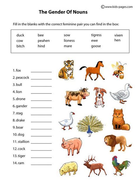 Nouns gender