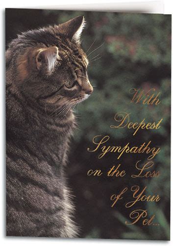 sympathy assortment pack  nonpersonalized folding card