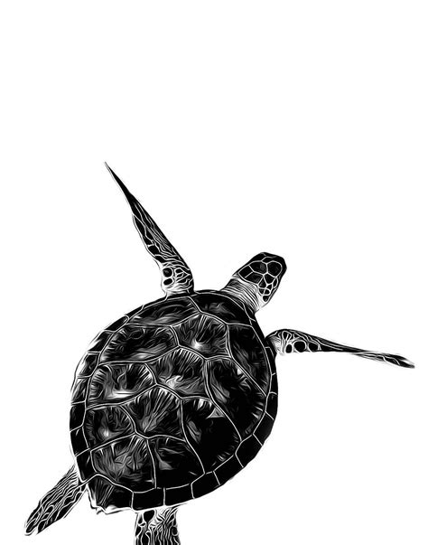 turtle art print turtle wall art black and white turtle etsy turtle wall art turtle art