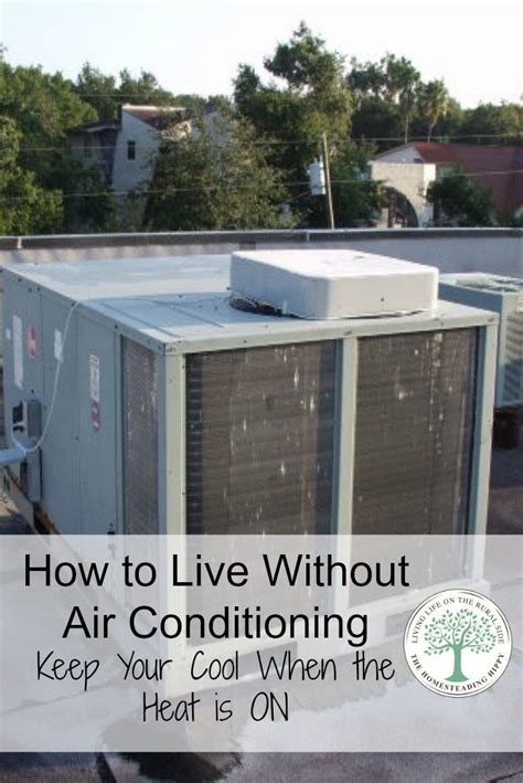 Ways To Keep Cool Without Air Conditioning In The Summer Heat Homesteading Survival Solar