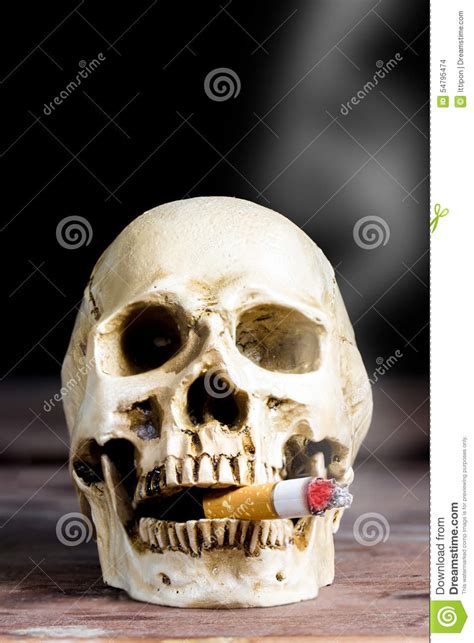 Human Skull Smoking Stock Photo Image Of Addictive