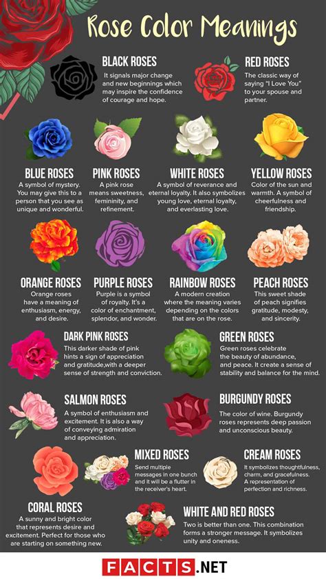 Rose Color Meanings That Are Just More Than Romantic Facts Net