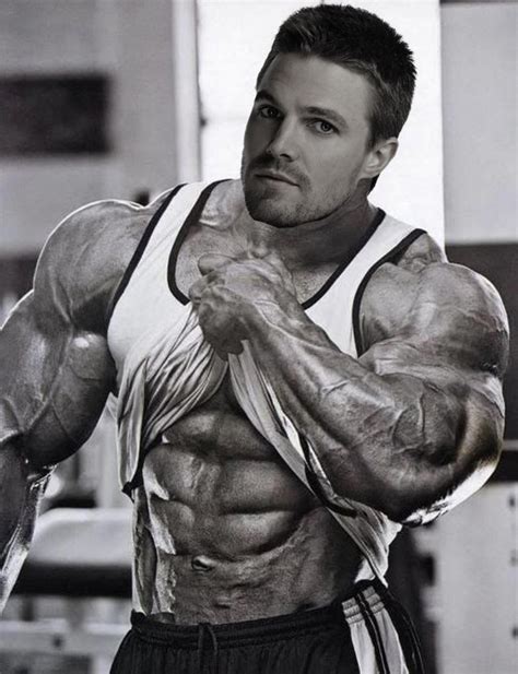 Muscle Morph Stephen Amell By Doryfan On DeviantArt