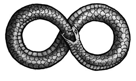 The first word is oura which means tail and the second is boros which. Ouroboros, the Infinity Symbol - Mythologian.Net