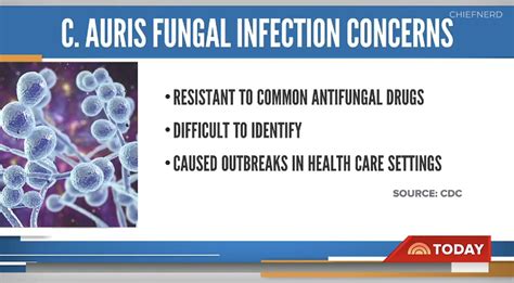 Cdc Warns Of Deadly Drug Resistant Fungal Infections Which Experts