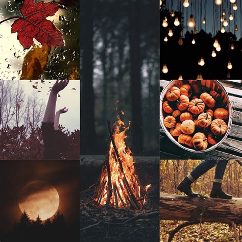 Autumn Aesthetic Collage Landscape
