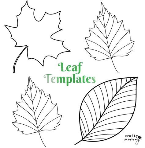 Traceable Leaf Patterns