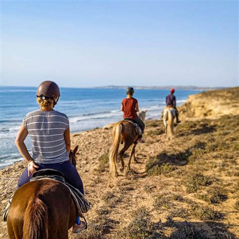Horse Riding Holidays Morocco Essaouira Horse Trails Zouina Cheval
