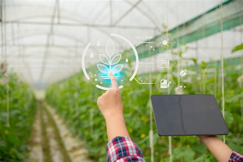 Iot In Agriculture How It Is Revolutionizing Farming Smart Farming